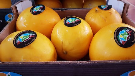 Meloni Gialletti